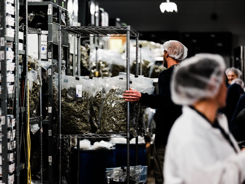 Canada Isnt Licensing Cannabis Cultivation Sites Fast Enough To Meet Demand1 Canada Isnt Licensing Cannabis Cultivation Sites Fast Enough To Meet Demand