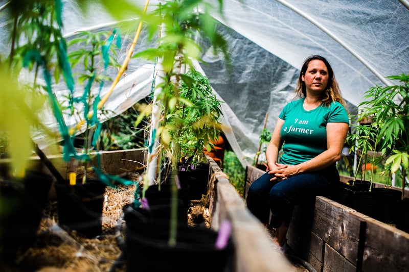 Humbolt County Cannabis Farmers 1 of 7 These Cannabis Pioneers Fear Legalization Will Leave Them Behind