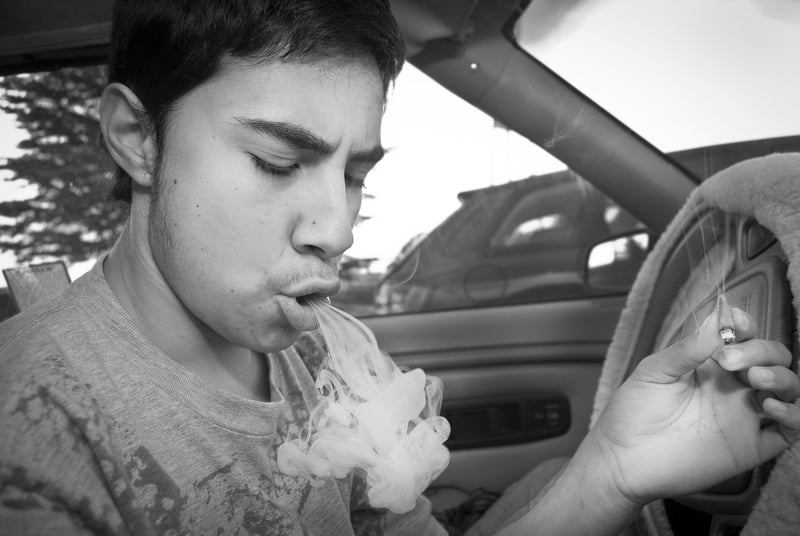 When It Comes To Cannabis Studies Trust No Oneh When It Comes To Cannabis Studies, Trust No One